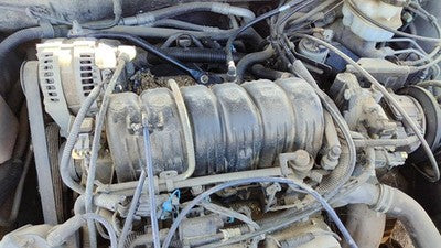 1995-2005 Pontiac Bonneville Upper Intake Manifold Oem 3.8L 89017272