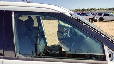 11-17 Explorer Police Interceptor Passenger Right Front Side Window Door Glass