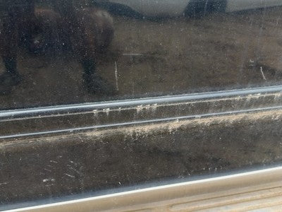 97-02 Ford Expedition Passenger Right Front Upper Moulding From Door Oem Black
