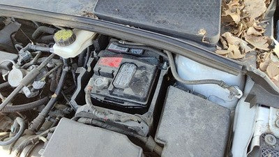 2015-2018 Ford Focus Complete Battery Box Mount Tray With Hold Down Oem 2.0L