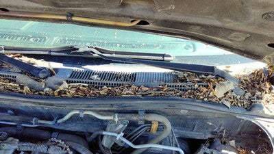 2002 Infiniti G20 Windshield Wiper Cowl Vent Trim Panel Oem Cover