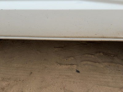 05-11 Dakota Passenger Right Lower Rocker Panel Moulding Side Skirt White Pw7