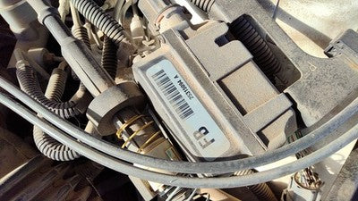 1999-2004 Buick Regal Cruise Control Servo Assembly Module With Cable Oem