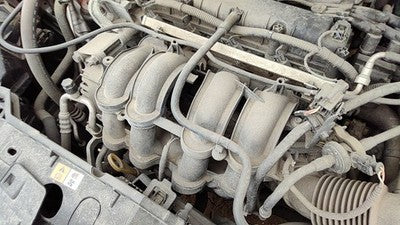 2014-2019 Ford Fiesta Intake Manifold Oem 1.6L Cn1z9424a