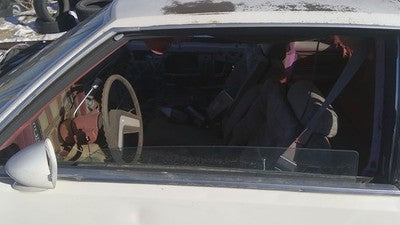 1978-1980 Buick Regal Driver Left Front Side Window Door Glass Oem Dd05737gt