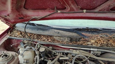 1993-2003 Ford Escort Passenger Right Windshield Wiper Arm Oem Blade Lever