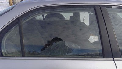 1996-2000 Honda Civic Passenger Right Rear Side Window Door Glass Oem Back