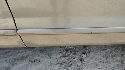 02-10 Ford Explorer Passenger Right Front Moulding From Door Trim Strip Gold Tk