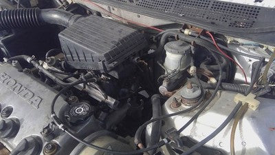 1998-2000 Honda Civic Cruise Control Servo Assembly Module With Cable Oem 1.6L