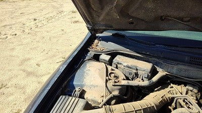 1999 Honda Accord Passenger Right Hood Hinge Assembly Oem Gray