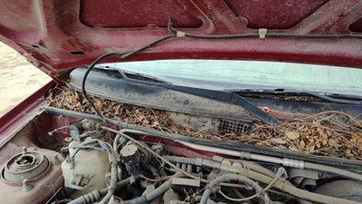 1993-2003 Ford Escort Passenger Right Windshield Wiper Arm Oem Blade Lever