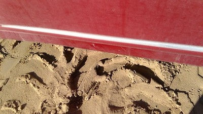 10-12 Lexus Hs250h Hybrid Driver Left Front Moulding From Door Oem Trim Red 3r1