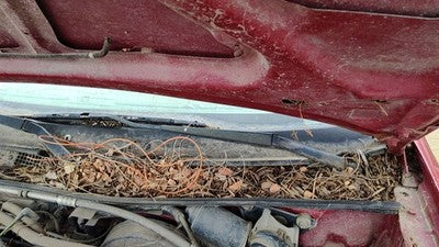 1993-2003 Ford Escort Driver Left Windshield Wiper Arm Oem Blade Lever