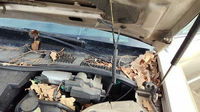 1991-1996 Buick Park Ave Driver Left Windshield Wiper Arm Oem Blade Lever
