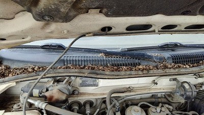 1991-1995 Infinity G20 Passenger Right Windshield Wiper Arm Oem Blade Lever