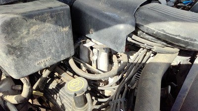 1997-1998 Ford F150 Lower Intake Manifold Oem 4.6L F65z9424d