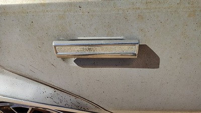 1982 Oldsmobile Firenza Passenger Right Rear Outside Door Handle Oem Back
