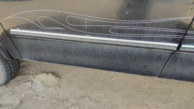 1997-1998 Ford F150 Driver Left Front Moulding From Door Oem Trim Strip Black Ua