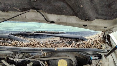 2000-2003 Nissan Maxima Driver Left Windshield Wiper Arm Oem Blade Lever