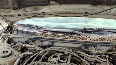 2000-2003 Nissan Maxima Passenger Right Windshield Wiper Arm Oem Blade Lever