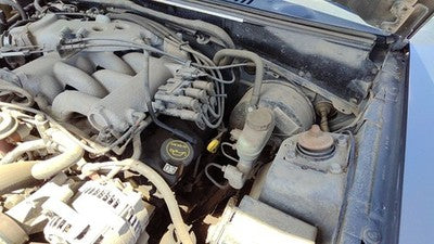 1999-2004 Ford Mustang Driver Left Valve Cover Oem 3.8L 1F2Z6582Aa