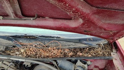 1993-2003 Ford Escort Driver Left Windshield Wiper Arm Oem Blade Lever