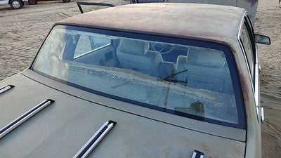 1982-1988 Pontiac 6000 Back Glass Rear Window Oem 10066825