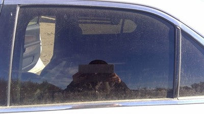 2010-2017 Chevy Equinox Driver Left Rear Side Window Door Glass Oem Back