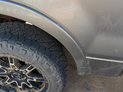 04-08 F150 Passenger Right Rear Wheel Flare Moulding Oem Back Arizona Beige Aq