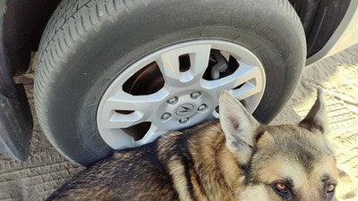 2004-2006 Acura Mdx 17' Aluminum Wheel Oem Factory 10 Spoke Rim
