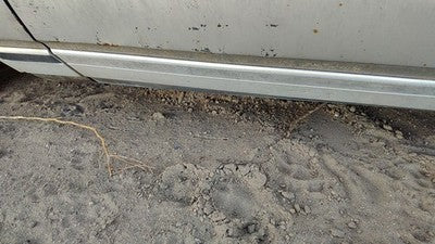 Chevy Caprice Driver Left Front Moulding From Door Oem Trim Strip 4 Door