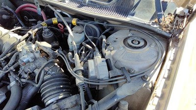 2000-2005 Chevy Impala Cruise Control Servo Assembly Module With Cable Oem
