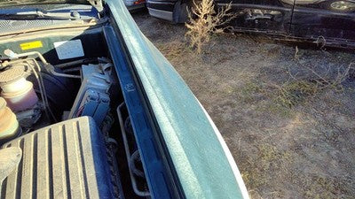 1998-2002 Honda Passport Driver Left Front Fender Oem Hgm Huntsman Green Hail