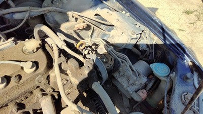 98 99 Honda Accord Cruise Control Servo Assembly Module With Cable Oem 2.3L Vtec