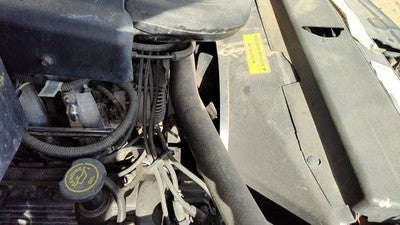 97 98 Ford F150 Complete Cooling Fan Blade Assembly With Clutch Oem 4.6L At 4X4