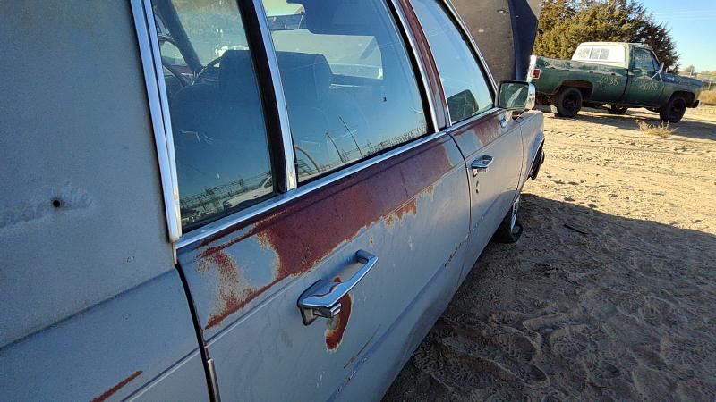 1980-1992 Cadillac Deville (80 & Up) Rear Door RH