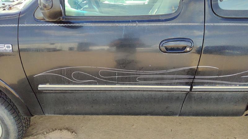 1997-1999 Ford Pickup F150 Series Front Door LH