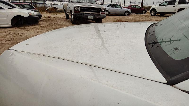 1997-2005 Buick Park Avenue (80&up) Trunk/Decklid/Hatch/Tailgate