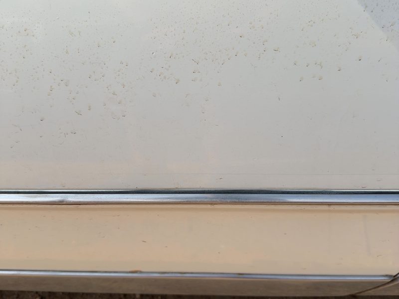 1986 Oldsmobile Ninety-eight (80 & Up) Front Door Moulding RH