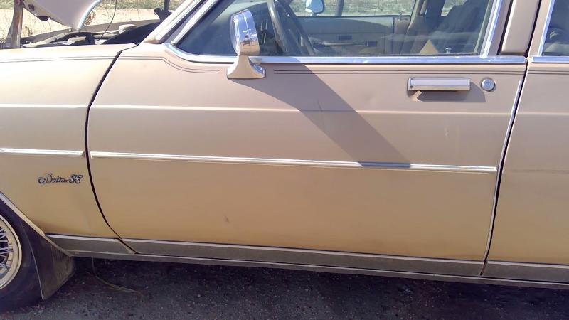 1980-1985 Oldsmobile Eighty-eight (80 & Up) Front Door LH