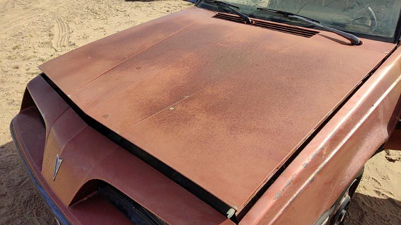 1982-1989 Pontiac Sunbird Hood