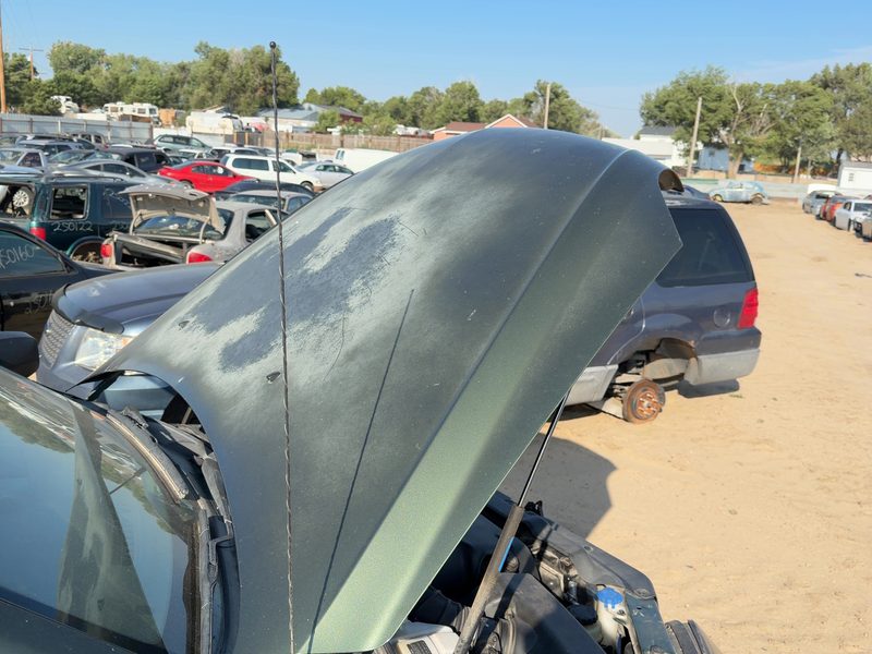 2003-2009 Kia Sorento Hood