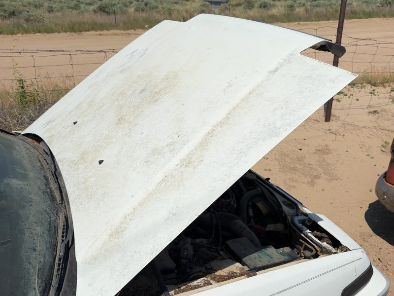 1986-1989 Honda Accord Hood