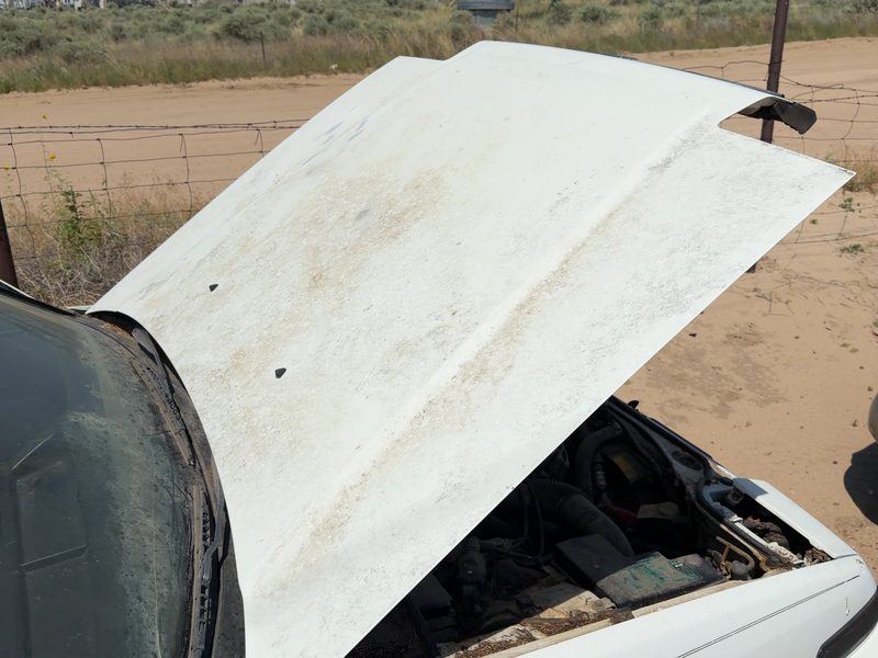 1986-1989 Honda Accord Hood