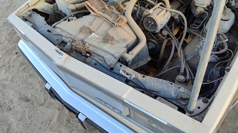 1978-1987 Malibu Radiator Support