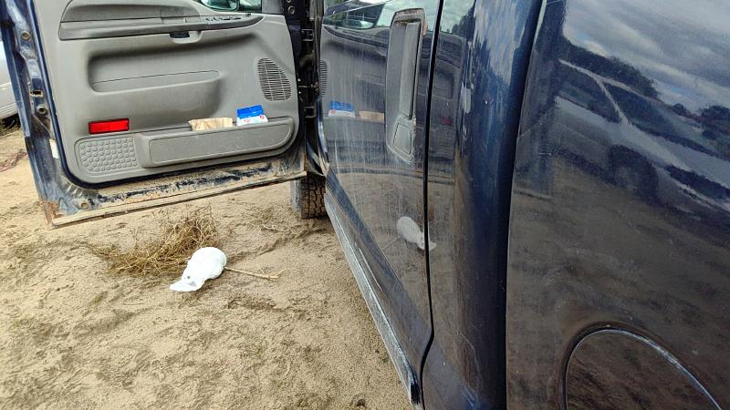1999-2007 Ford F350 Super Duty Pickup Rear Door LH