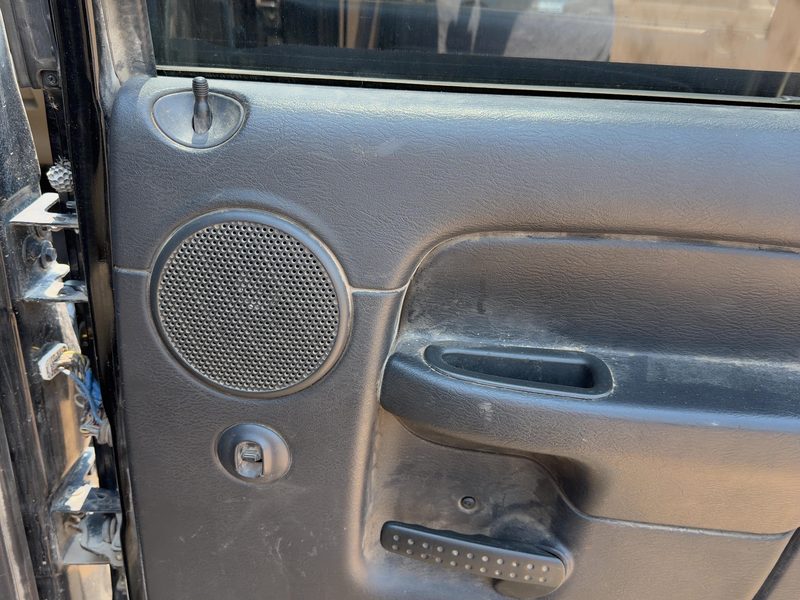 2002-2005 Dodge Ram Pickup 1500 Series Rear Door Trim Panel RH