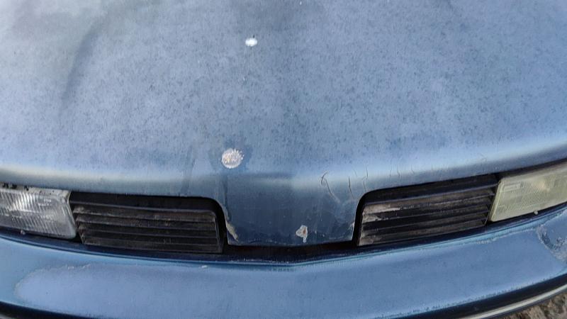 1988-1991 Cutlass (also See Calais 85-88) Hood