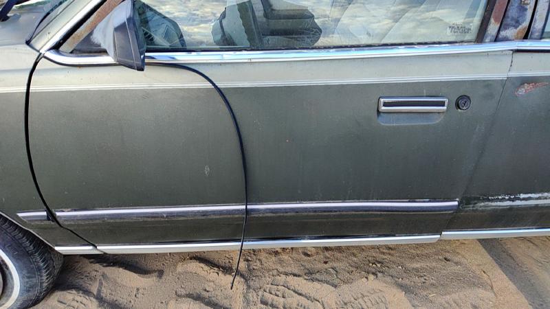 1982-1989 Pontiac 6000 Front Door LH