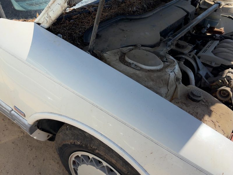 1992-1998 Oldsmobile Eighty-eight (80 & Up) Fender RH